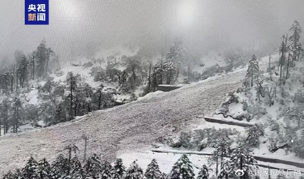 西藏扎墨公路因雪崩造成道路中断 无人员及车辆被埋 西藏扎墨公路因雪崩造成道路中断 无人员及车辆被埋