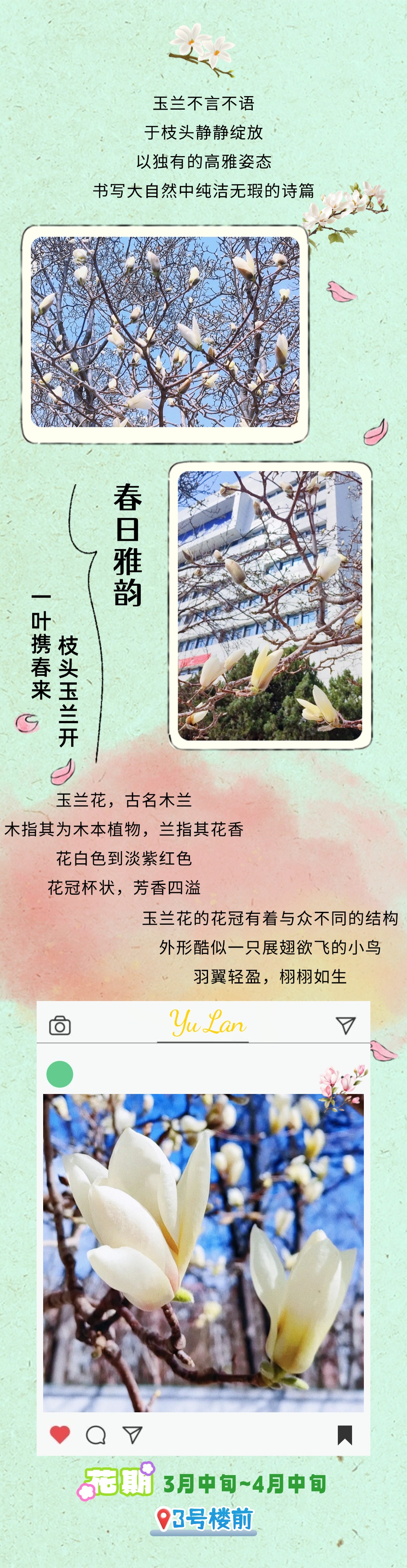 镜头下的北京科学中心 | 春日赏花图鉴