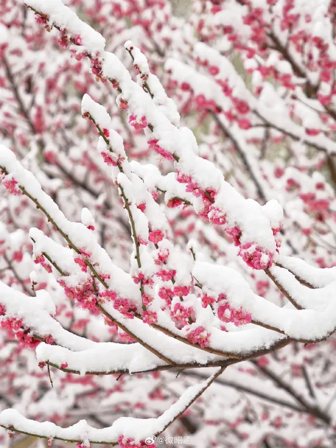 下雪了！体感温度-1℃！云南多地发布道路结冰、寒潮预警