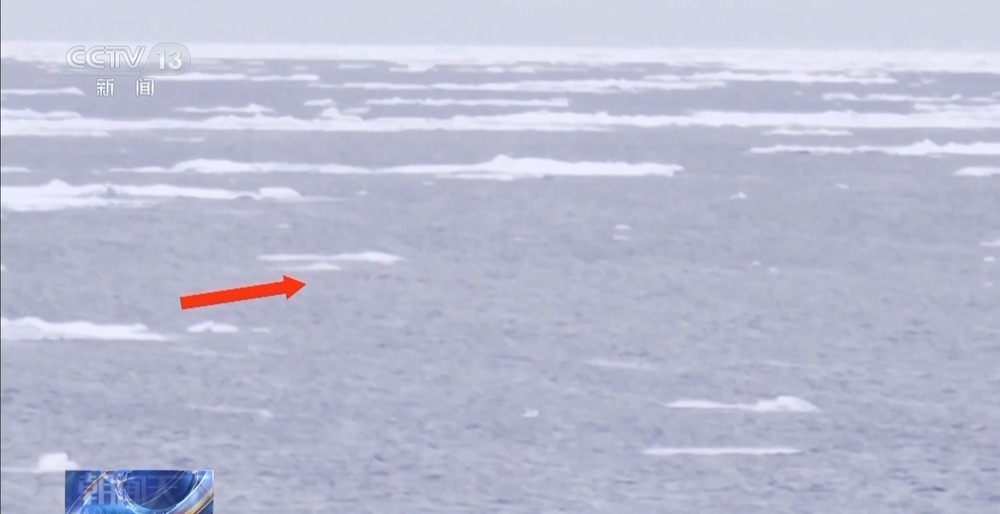 我国首套南极生态潜标顺利回收 看科考队员如何“大海捞球” 我国首套南极生态潜标顺利回收 看科考队员如何“大海捞球”