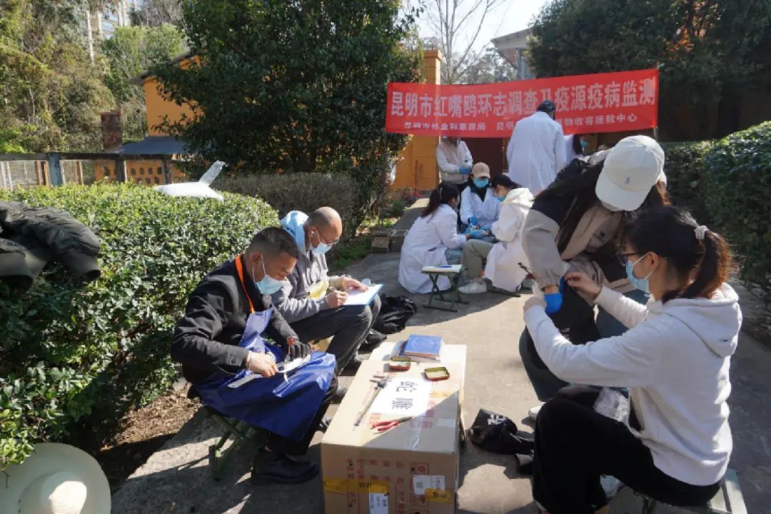 还剩不到一个月，抓紧……