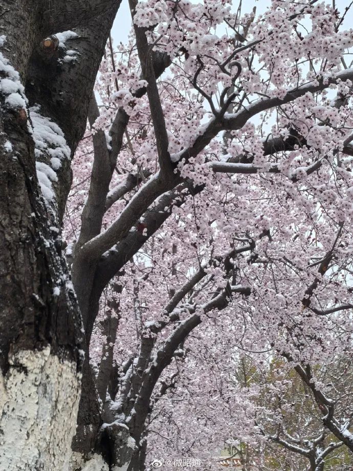 下雪了！体感温度-1℃！云南多地发布道路结冰、寒潮预警