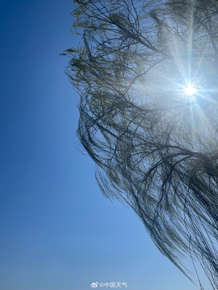 北京紫竹院：碧波晴空 春意盎然