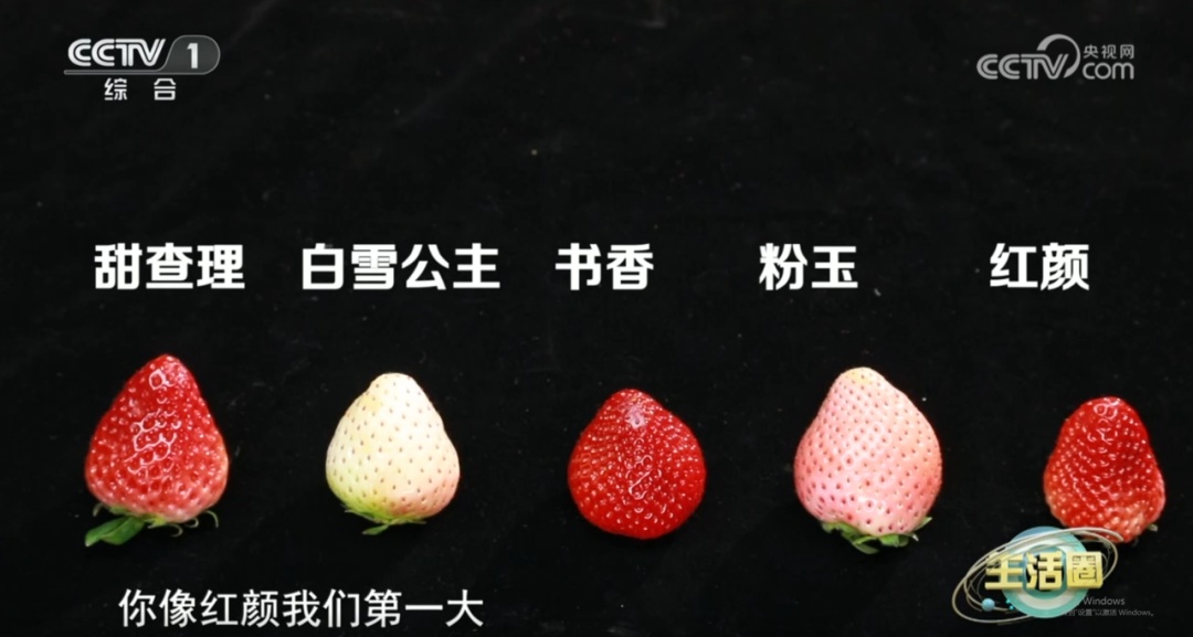 这样洗草莓可能越洗越脏！很多人都做错了……