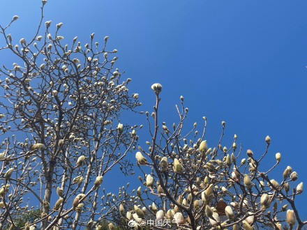 北京紫竹院：碧波晴空 春意盎然