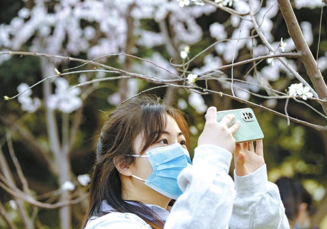 @过敏星人，花粉高峰期已至，防护指南——