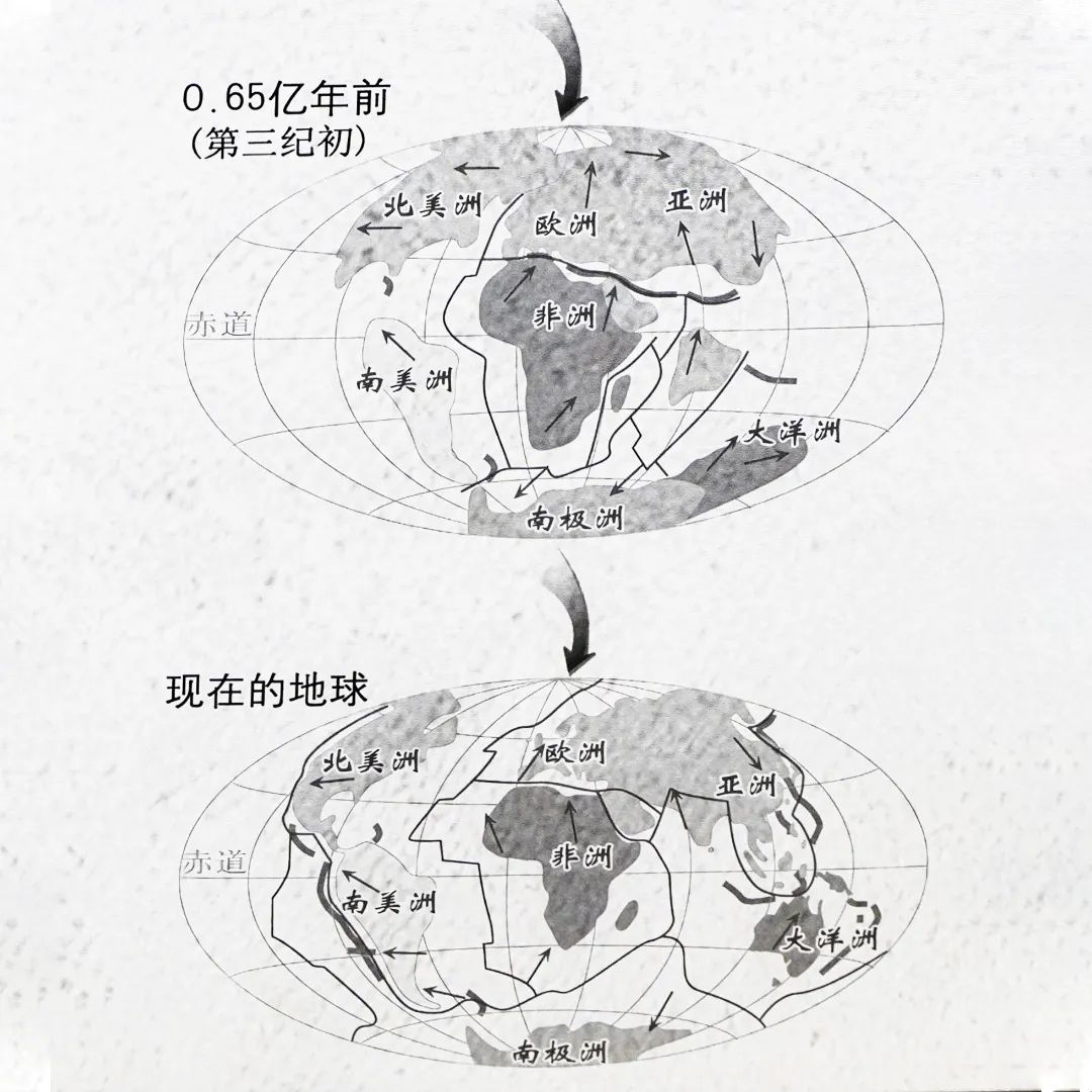 展项拾趣丨大陆漂移:探索地球“拼图”的奥秘 展项拾趣丨大陆漂移:探索地球“拼图”的奥秘