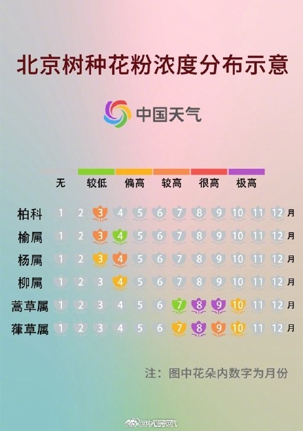 喷嚏预警!春季全国花粉预报地图 喷嚏预警!春季全国花粉预报地图