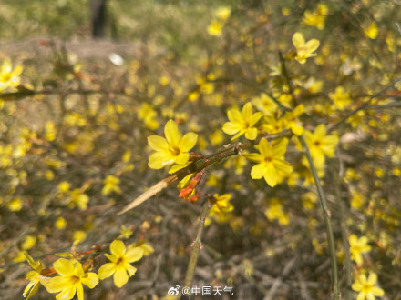 北京紫竹院：碧波晴空 春意盎然