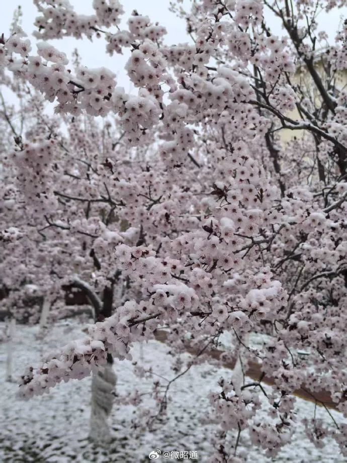 下雪了！体感温度-1℃！云南多地发布道路结冰、寒潮预警