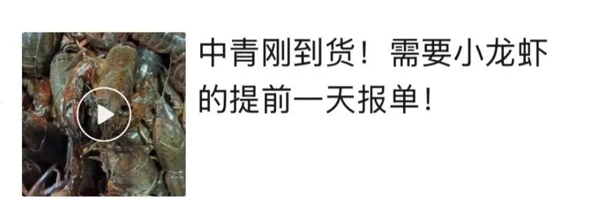 贵的65元/斤!很多浙江人爱吃,即将大量上市!有老板一天卖1000斤...... 贵的65元/斤!很多浙江人爱吃,即将大量上市!有老板一天卖1000斤......
