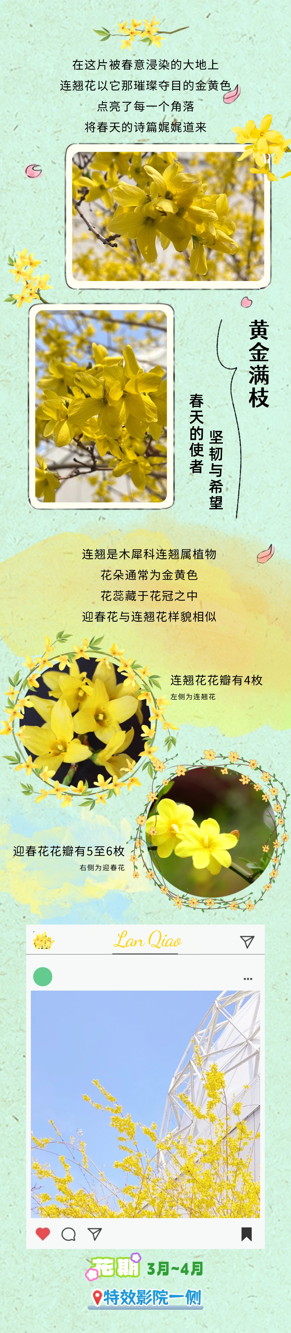 镜头下的北京科学中心 | 春日赏花图鉴