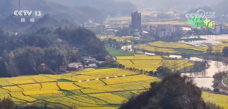 低空赏花、竹排泛舟……春日经济“金”满地 沉浸式体验“花漾生活”