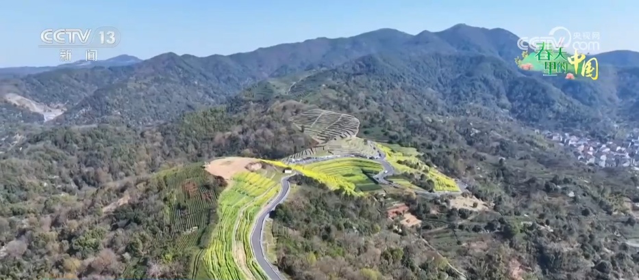 低空赏花、竹排泛舟……春日经济“金”满地 沉浸式体验“花漾生活”
