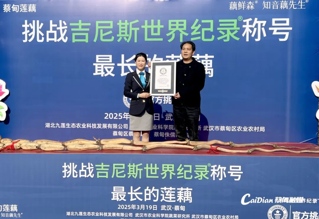 武汉诞生新吉尼斯世界纪录 武汉诞生新吉尼斯世界纪录