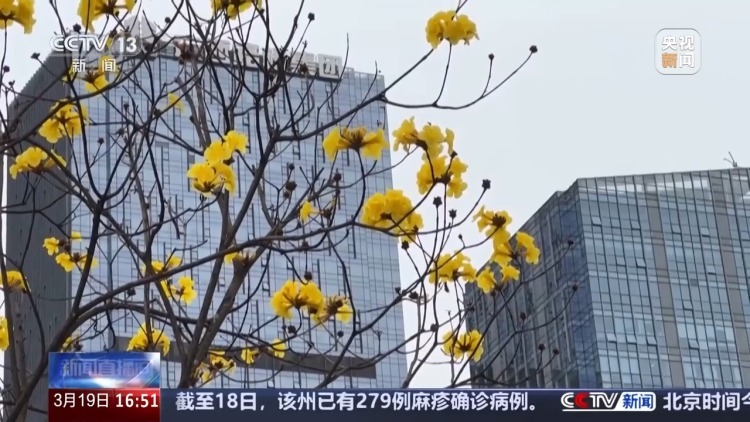 “一把鼻涕一把泪” 花粉过敏可以根治吗?预防指南 “一把鼻涕一把泪” 花粉过敏可以根治吗?预防指南