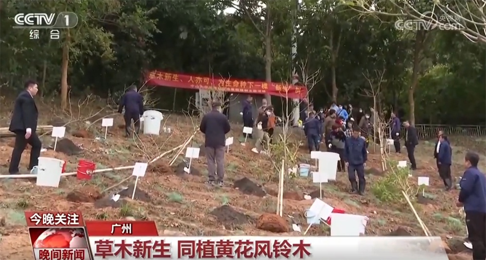 万象“耕”新、邂逅春光、消费升温、植树添绿 &nbsp;春天里的中国活力满满