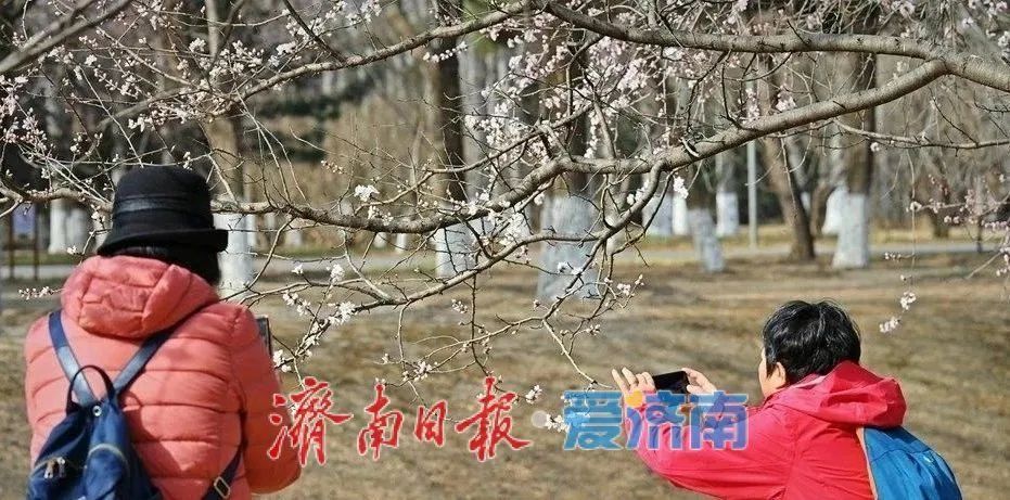 济南升温进行时!明天最高23℃,春装安排→ 济南升温进行时!明天最高23℃,春装安排→