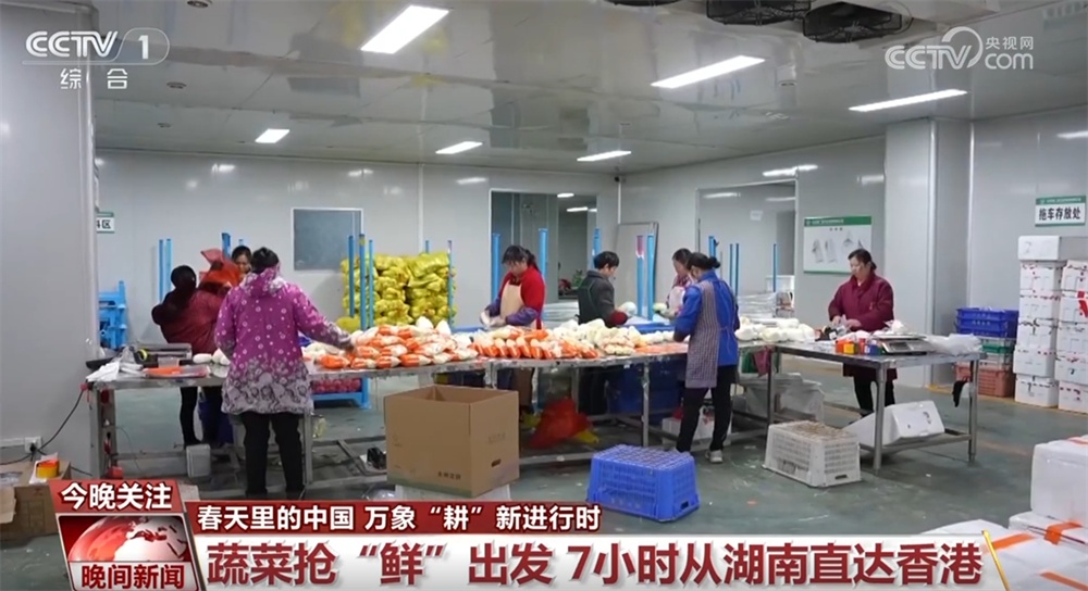 万象“耕”新、邂逅春光、消费升温、植树添绿 &nbsp;春天里的中国活力满满