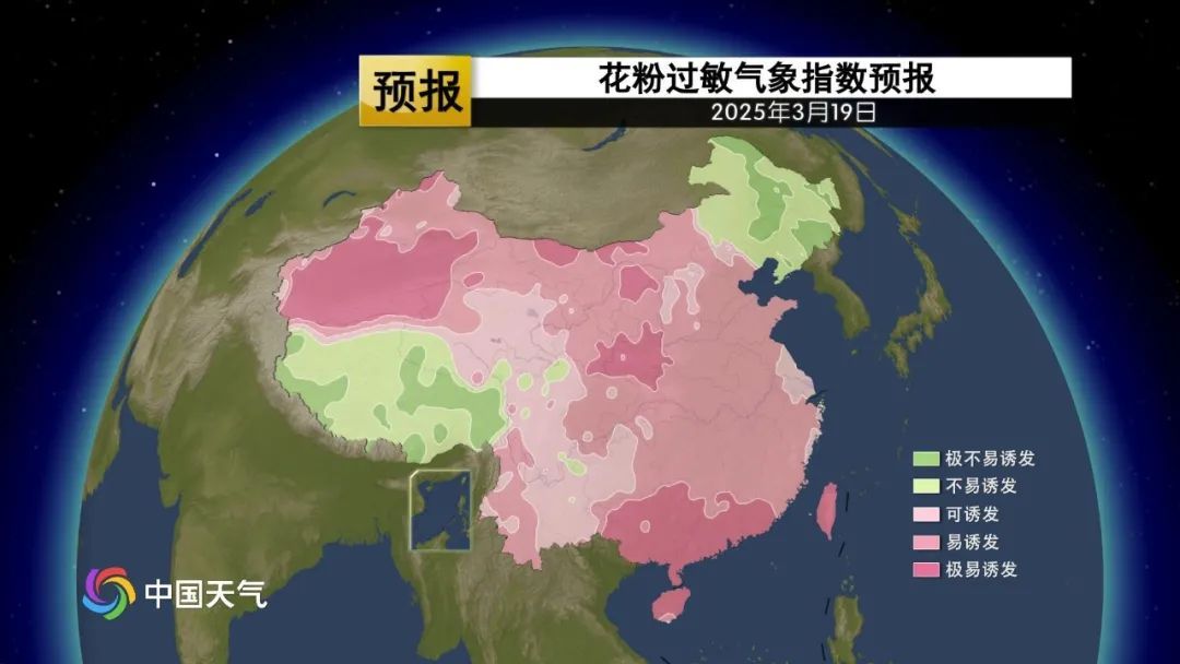 前方喷嚏预警！未来三天超20省份容易花粉过敏