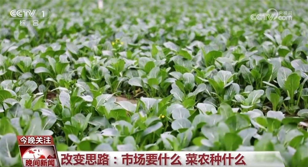 万象“耕”新、邂逅春光、消费升温、植树添绿 &nbsp;春天里的中国活力满满