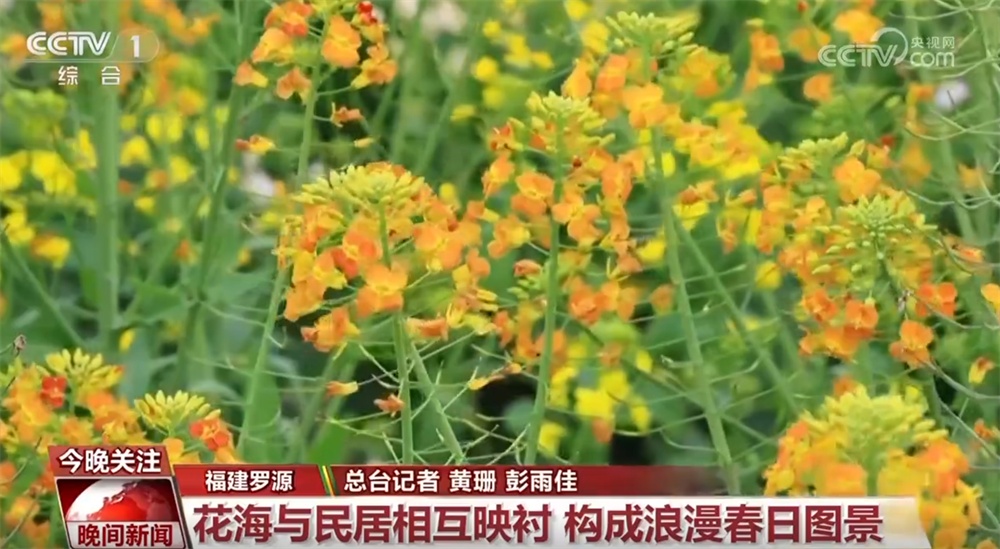 万象“耕”新、邂逅春光、消费升温、植树添绿 &nbsp;春天里的中国活力满满