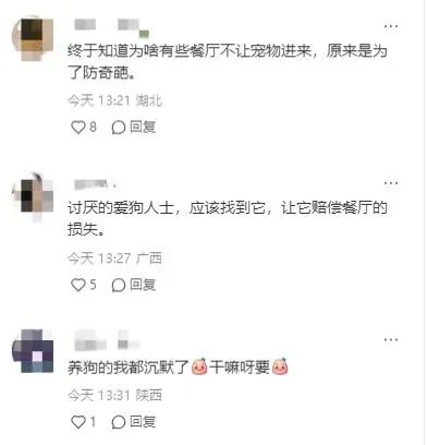 “人宠共餐”!常州一餐厅最新回应→ “人宠共餐”!常州一餐厅最新回应→