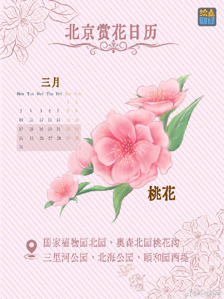 北京春夏处处皆花海