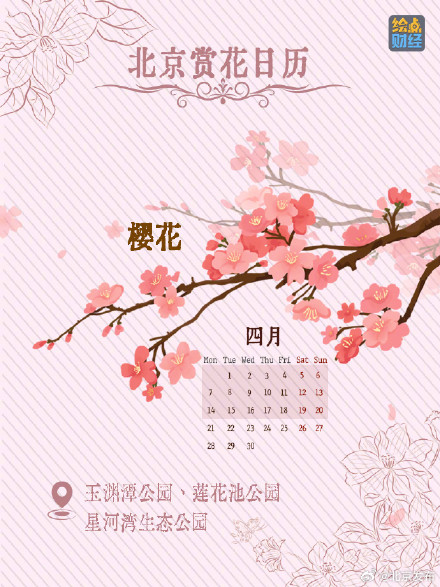 北京春夏处处皆花海