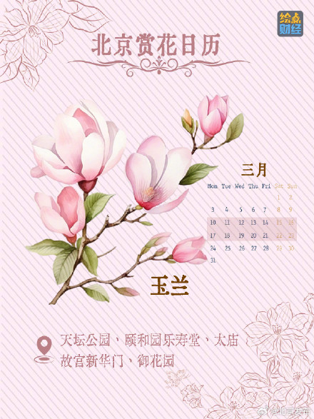 北京春夏处处皆花海