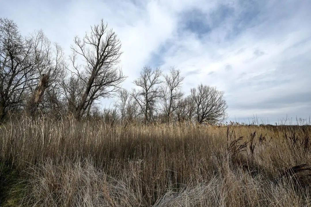 2024年是近175年来最热的一年