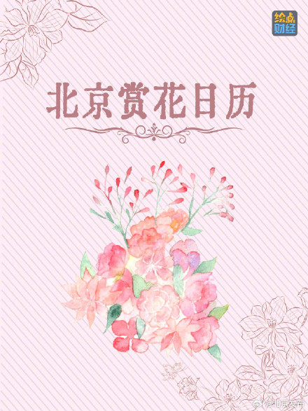 北京春夏处处皆花海