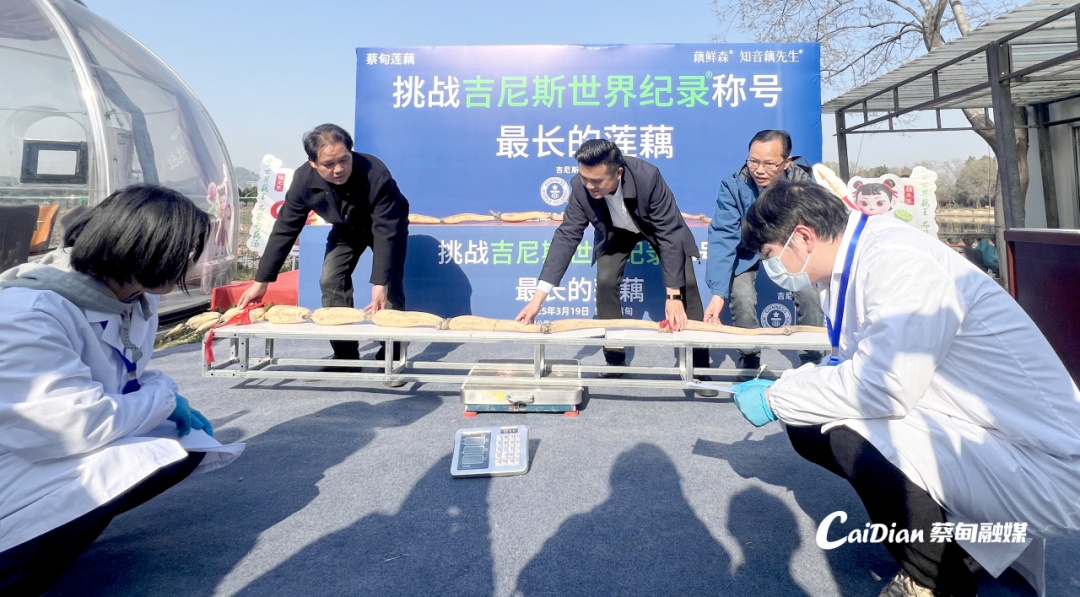 武汉诞生新吉尼斯世界纪录 武汉诞生新吉尼斯世界纪录