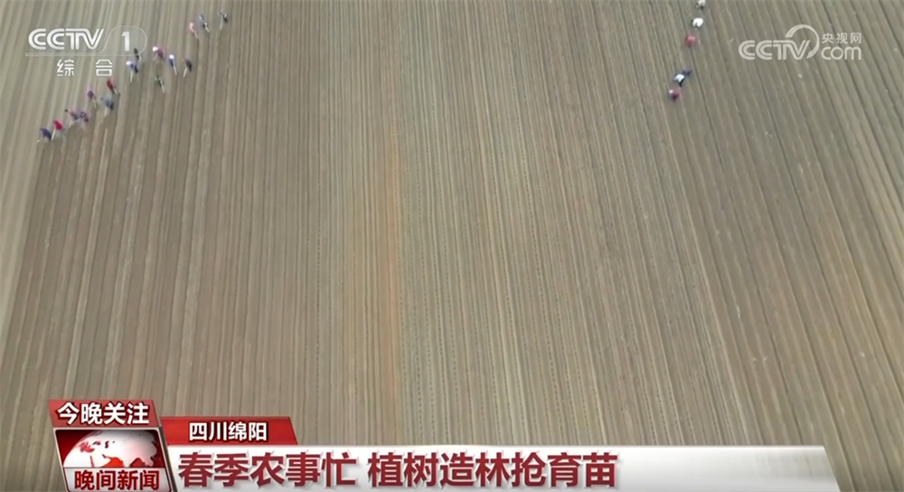 万象“耕”新、邂逅春光、消费升温、植树添绿 &nbsp;春天里的中国活力满满