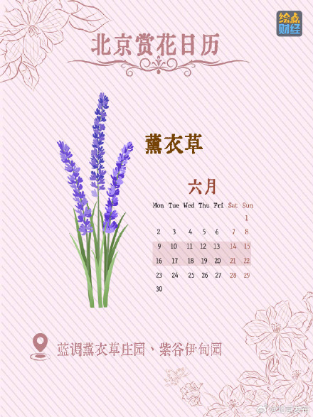 北京春夏处处皆花海