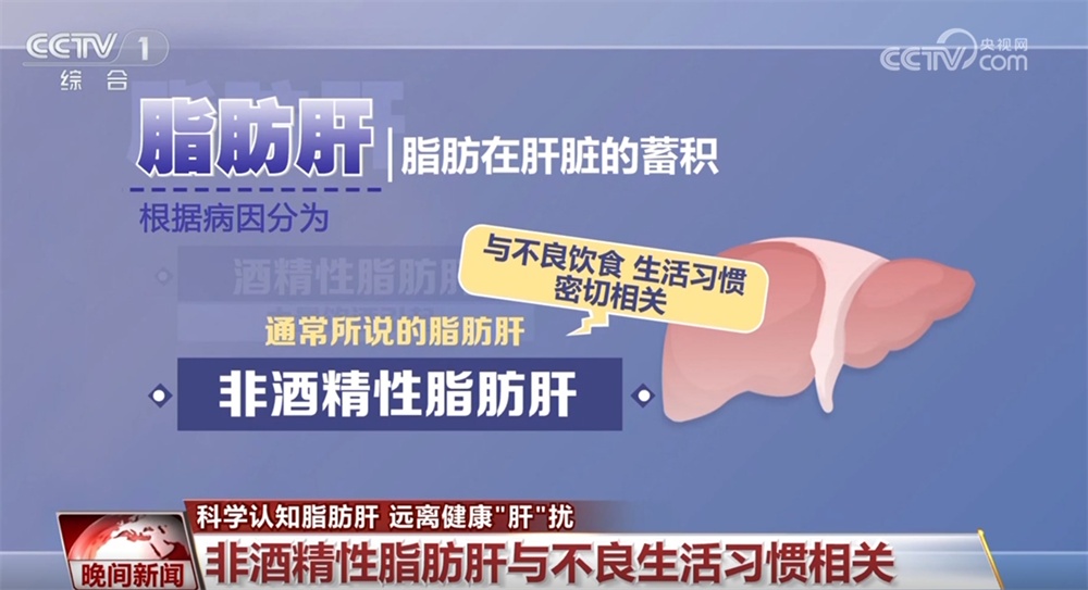 如何科学认知脂肪肝？远离健康“肝”扰 一文快速了解