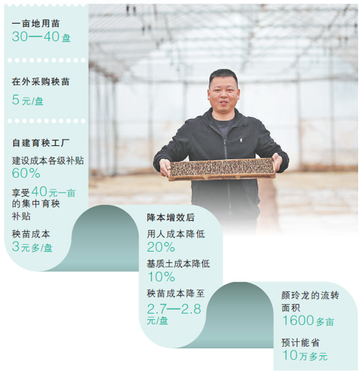 从5元到2元8角,早稻秧苗的价格如何“打”下来? 从5元到2元8角,早稻秧苗的价格如何“打”下来?