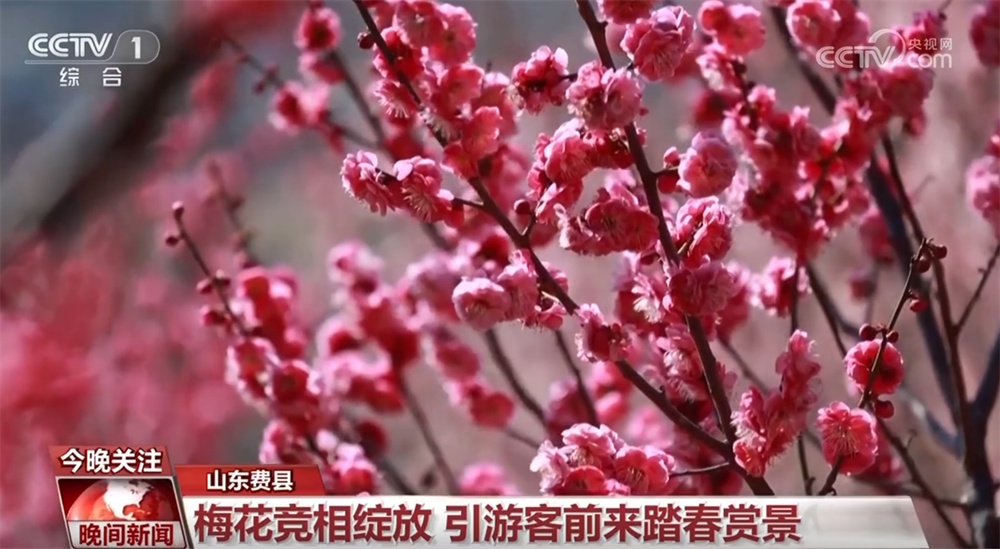 万象“耕”新、邂逅春光、消费升温、植树添绿 &nbsp;春天里的中国活力满满