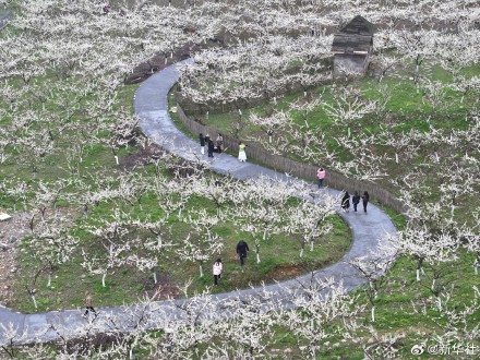 收藏！神州大地处处烂漫春景