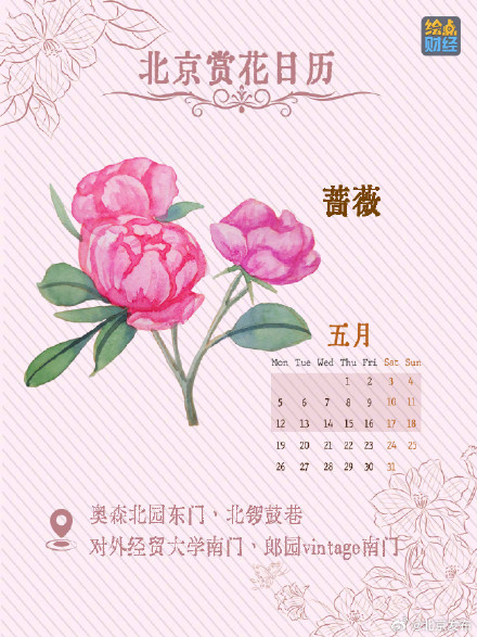 北京春夏处处皆花海