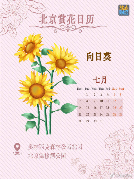 北京春夏处处皆花海