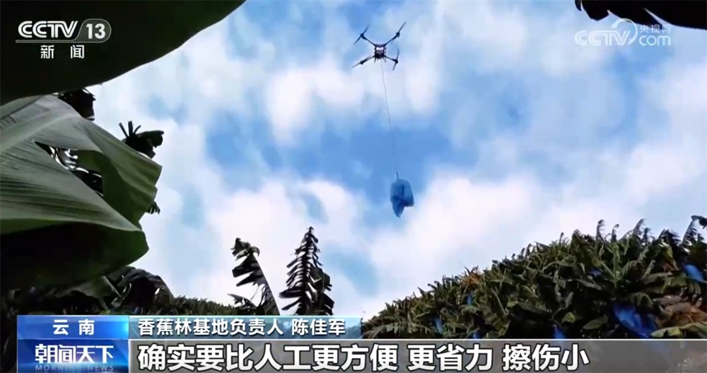 传统农业焕“新”“智”变 喜看“三农”新图景 中国经济展现蓬勃活力