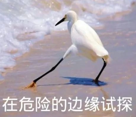 转弯不让行 直行很“受伤” 转弯不让行 直行很“受伤”