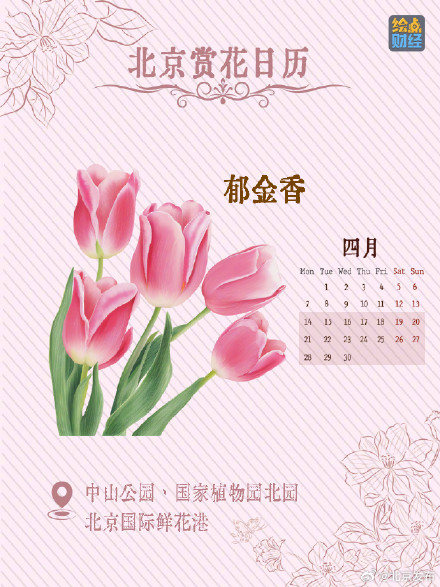 北京春夏处处皆花海