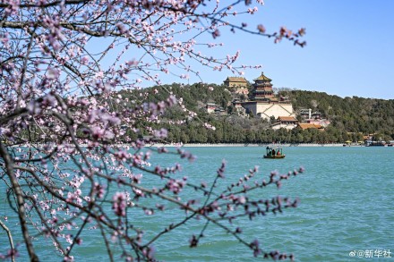 收藏！神州大地处处烂漫春景