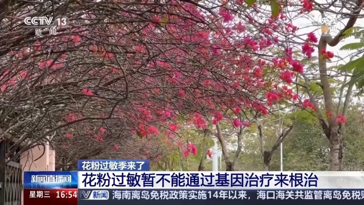“一把鼻涕一把泪” 花粉过敏可以根治吗?预防指南 “一把鼻涕一把泪” 花粉过敏可以根治吗?预防指南