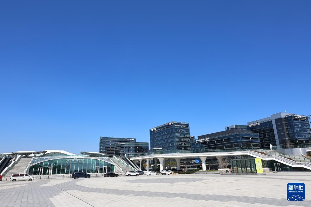 打卡上海滴水湖公交枢纽 打卡上海滴水湖公交枢纽