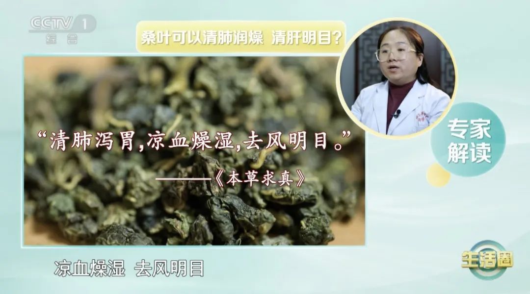 春天吃它,让你气血足、睡得好、不显老~叶子也是宝,血压血糖都受益 春天吃它,让你气血足、睡得好、不显老~叶子也是宝,血压血糖都受益