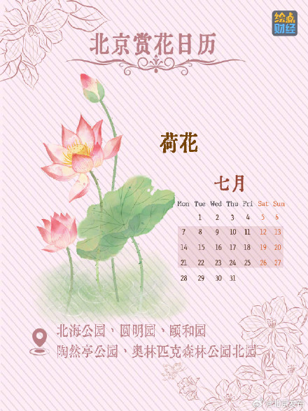 北京春夏处处皆花海