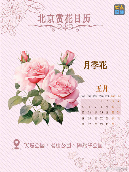 北京春夏处处皆花海